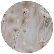 Tuincirkel foto beige bloemen – muurcirkel voor buiten