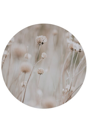 Tuincirkel foto - beige bloemen