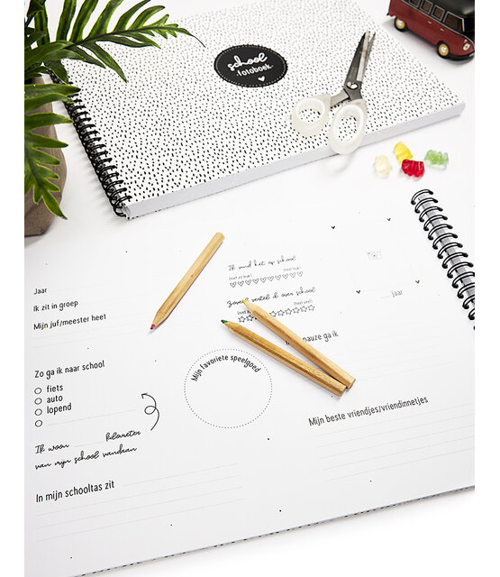 Schoolfotoboek A4 met ringband – bewaar alle schoolfoto’s en herinneringen