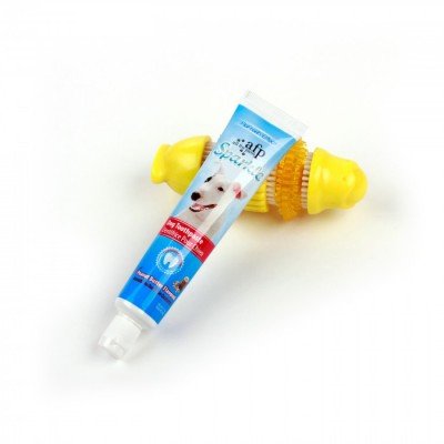 Afp Hondentandpasta Met Speeltje afp kopen in de aanbieding Afp Hondentandpasta Met Speeltje afp kopen in de aanbieding
