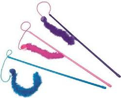 Neckermann Cat Teaser Assorti neckermann kopen in de aanbieding Neckermann Cat Teaser Assorti neckermann kopen in de aanbieding