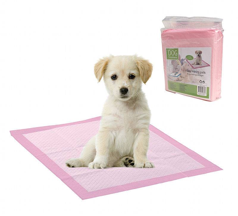 Neckermann Puppy Training Kussen 33X45 neckermann kopen in de aanbieding Neckermann Puppy Training Kussen 33X45 neckermann kopen in de aanbieding