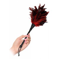 Frisky Feather Duster