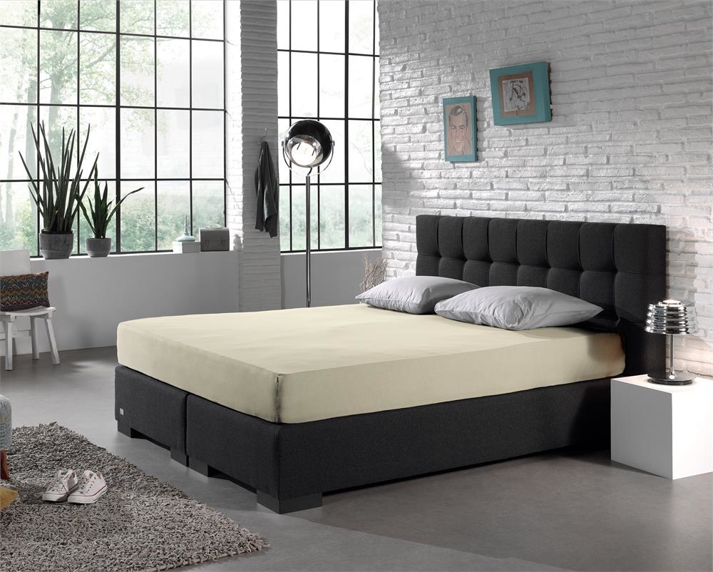 Dreamhouse Hoeslaken Jersey 160 Gr Cream dreamhouse kopen in de aanbieding