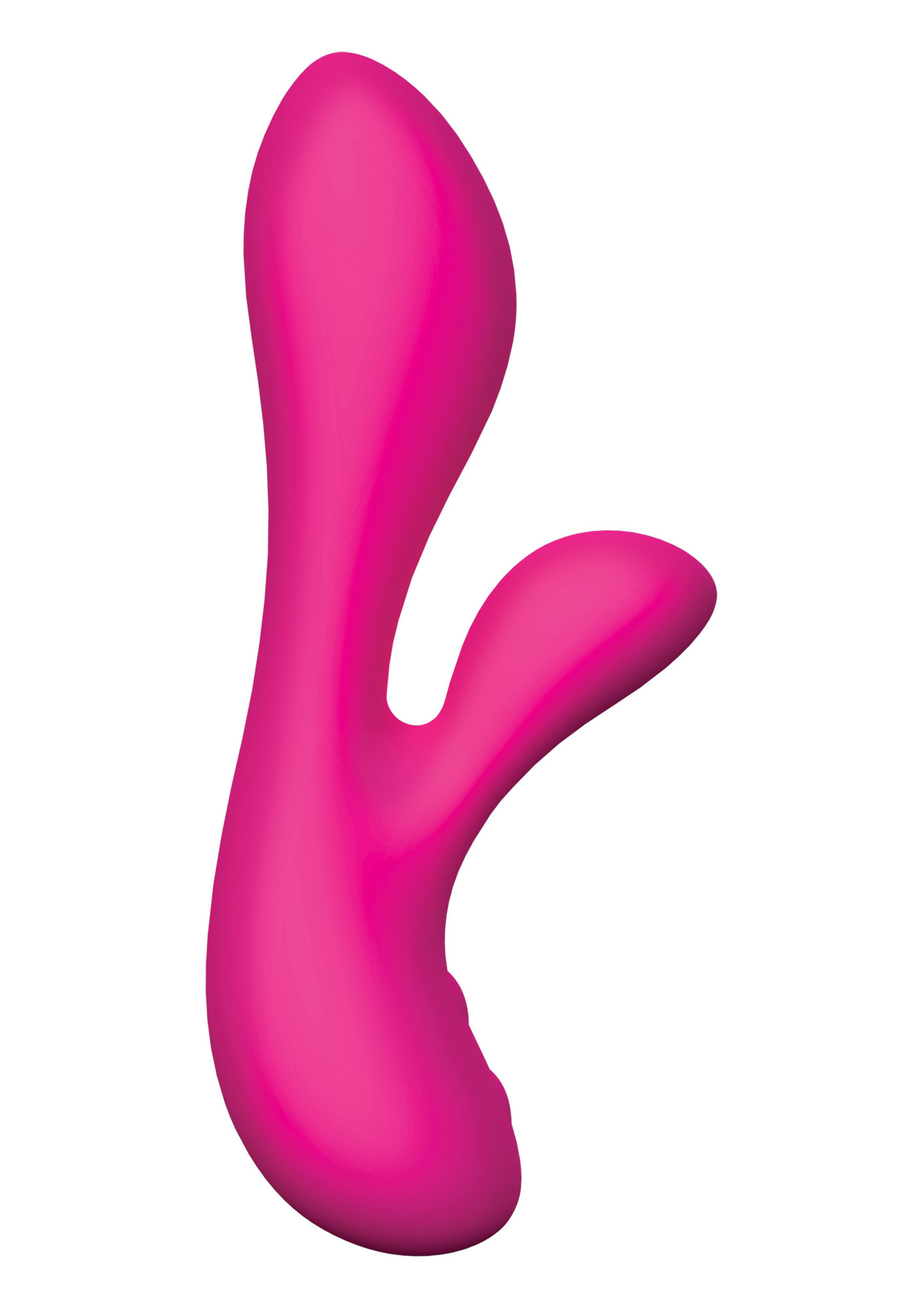 The Silver Swan swan kopen in de aanbieding