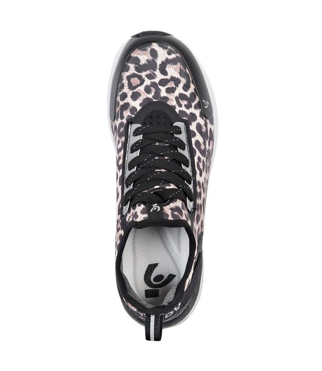Feline Feline Fitness Shoe - Leopard/Black