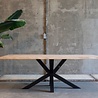 Boomstamtafel 'Rietgors' Boomstamtafel 'Rietgors'