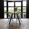 Boomstamtafel 'Merel' Boomstamtafel 'Merel'
