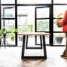 Boomstamtafel 'Grutto' Boomstamtafel 'Grutto'