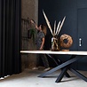 Boomstamtafel 'Kluut' Boomstamtafel 'Kluut'