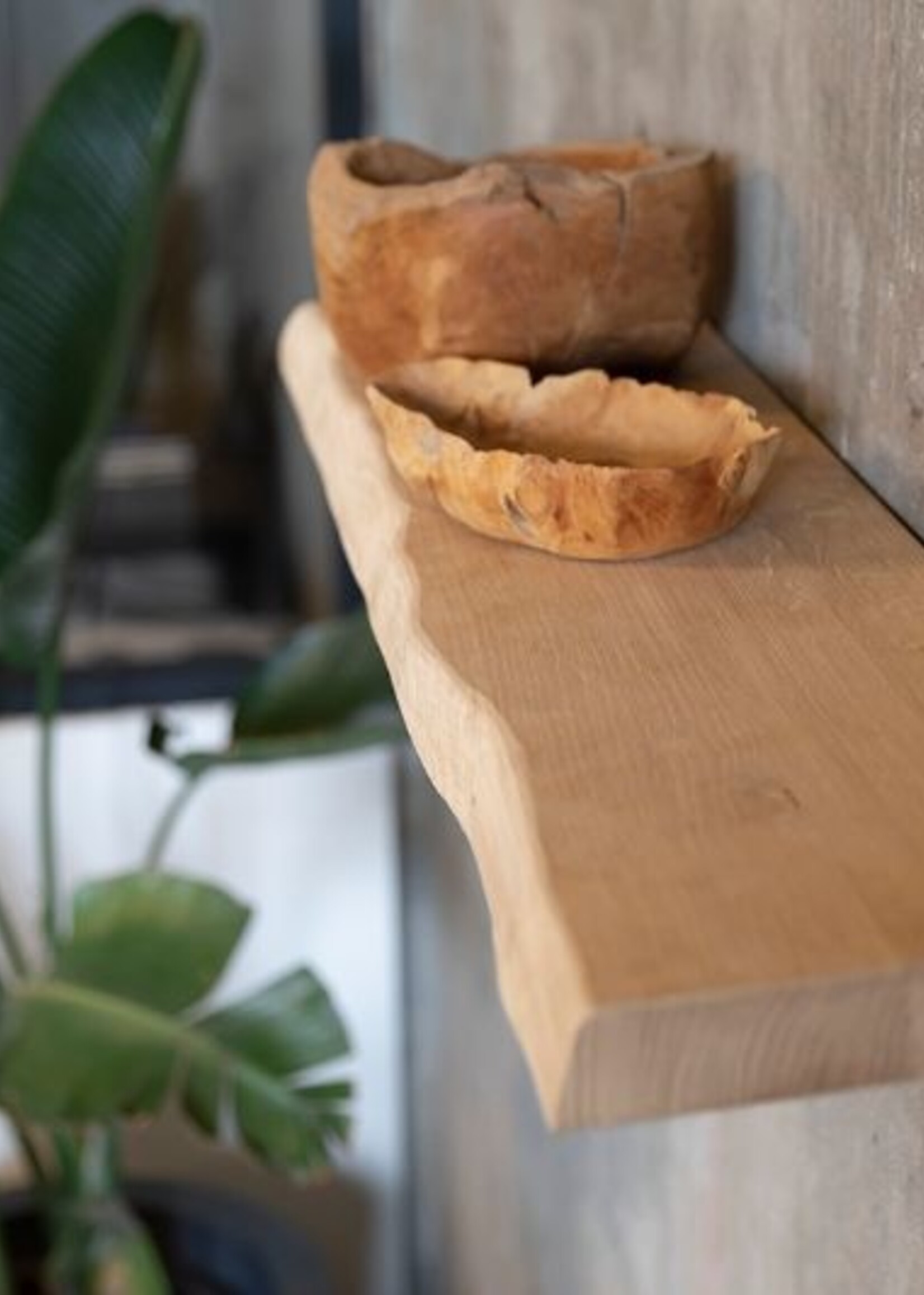 Wandplank Aalscholver