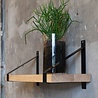 Wandplank Torenvalk Wandplank Torenvalk