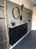 Trones schoenenkast plank