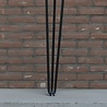 Boomstamtafel 'Maraboe' Boomstamtafel 'Maraboe'