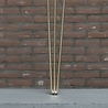 Boomstamtafel 'Maraboe' Boomstamtafel 'Maraboe'