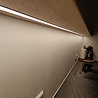 Wandplank Aalscholver recht Wandplank Aalscholver recht