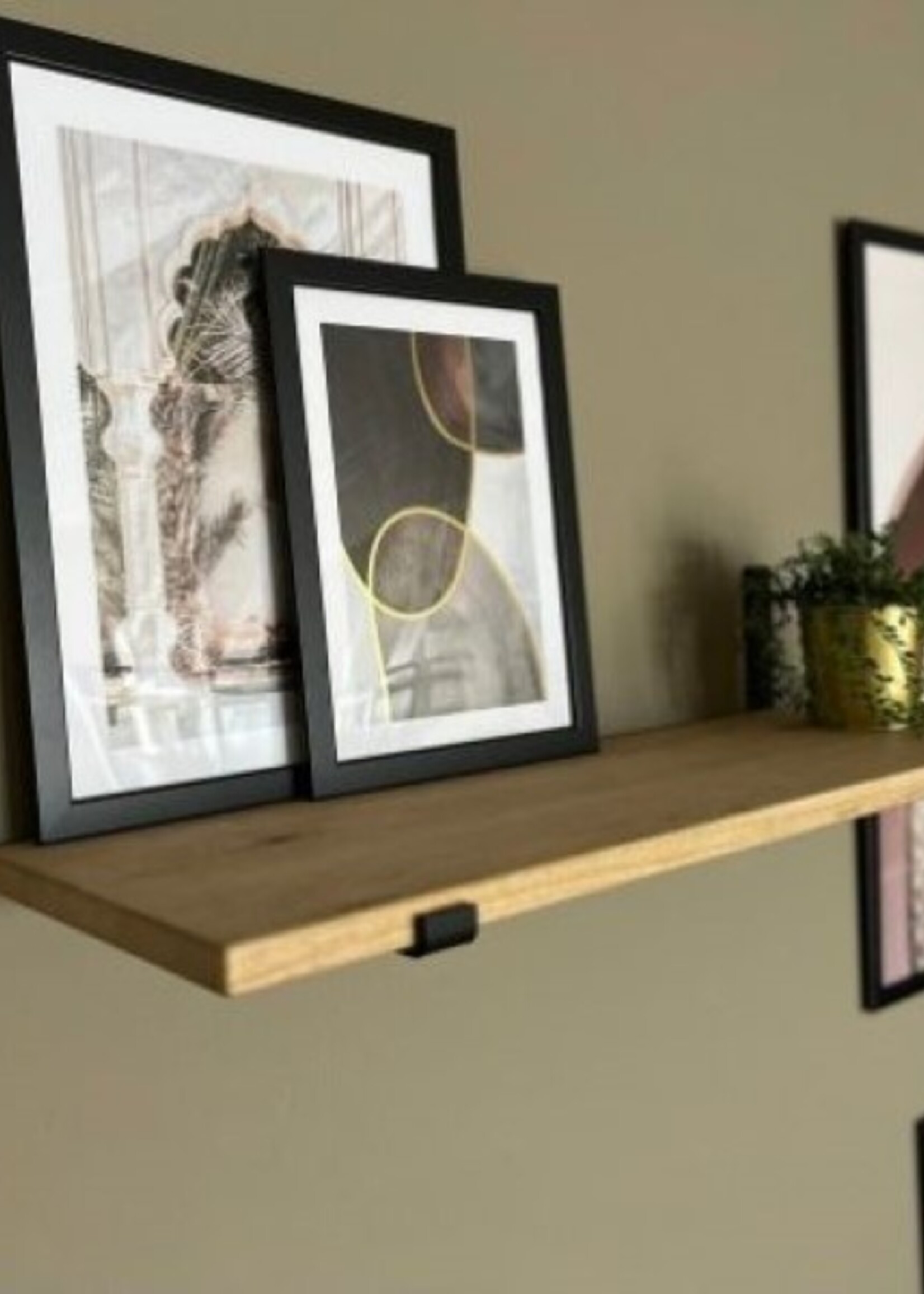 Wandplank IJsvogel