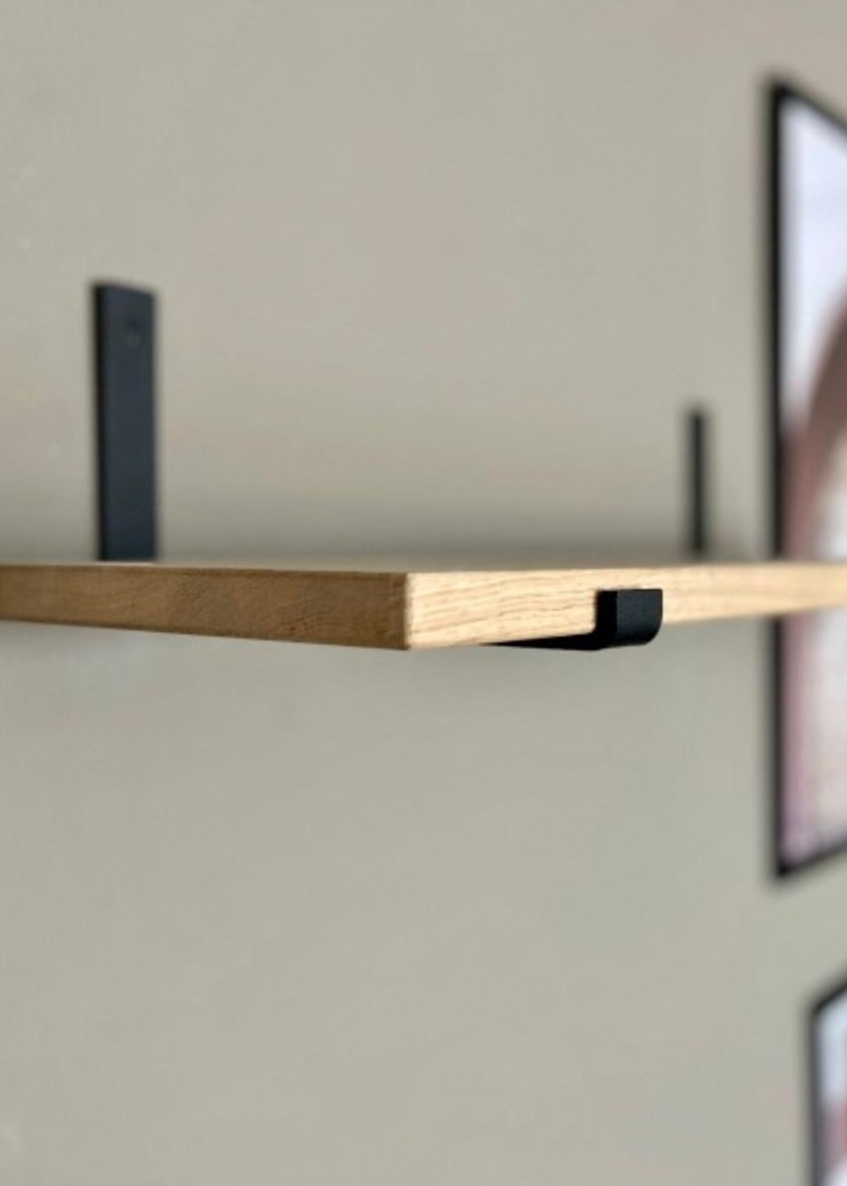 Wandplank IJsvogel
