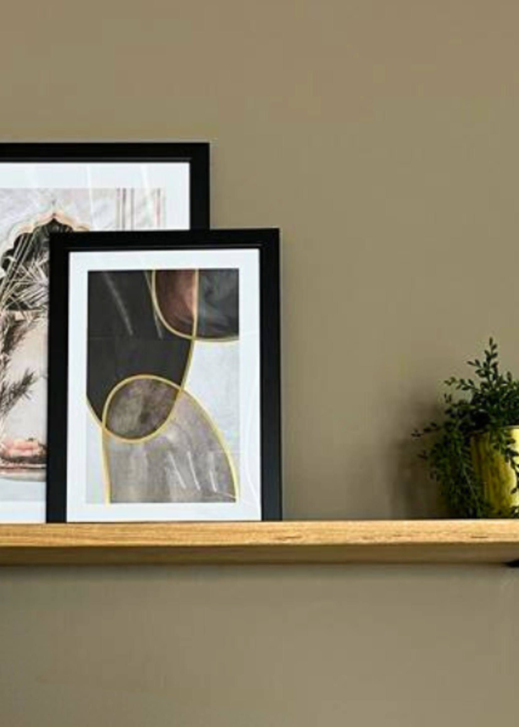 Wandplank IJsvogel