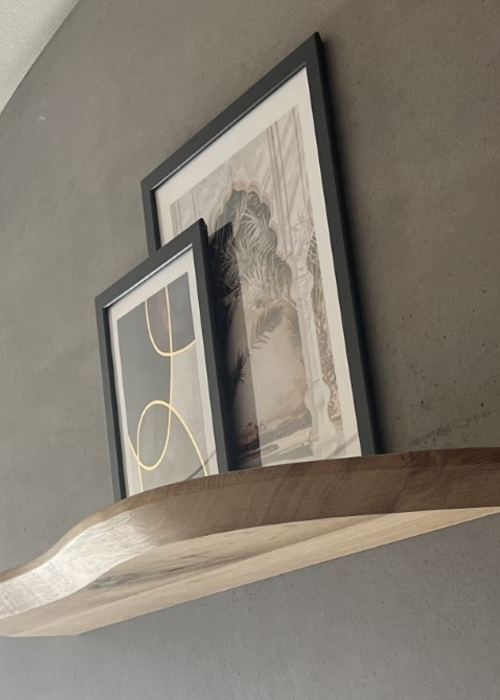 Wandplank Aalscholver