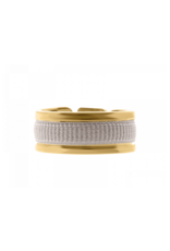 Les Interchangeables Ribbon Ring Grey on Gold