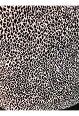 Peruzzi Black dress with Leopard Print Top