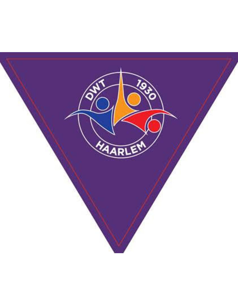 Overige merken Zwembadvlaggetjes - 2 rugcrawl keerpuntlijnen - bedrukt naar jouw eigen idee!