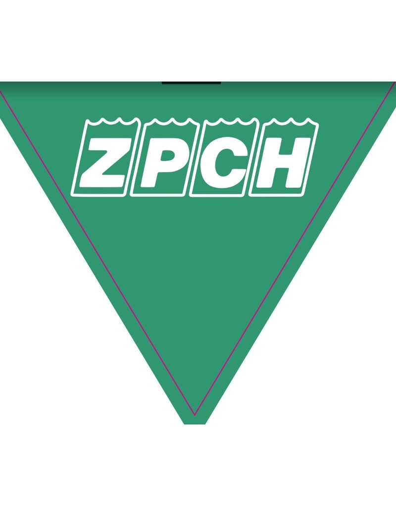 Overige merken Zwembadvlaggetjes - 2 rugcrawl keerpuntlijnen - bedrukt naar jouw eigen idee!