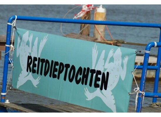 Reitdiepzwemtochten - 16 augustus 2026