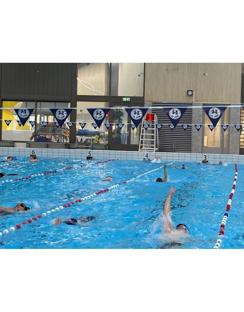 Overige merken Zwembadvlaggetjes - 2 rugcrawl keerpuntlijnen - bedrukt naar jouw eigen idee!