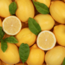 Cologne spray lemon