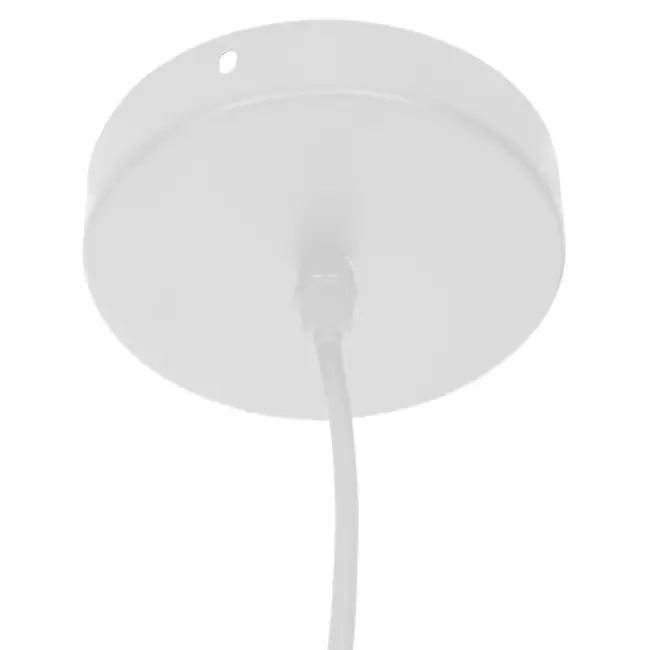 Ceiling lamp with flower petals