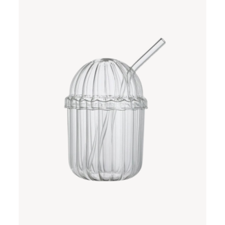 Drinking Glass with Glass Straw & Lid
