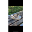 MK579 PLATFORM SANDALS