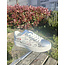 Findlay FINDLAY PRINT FY0386-1 TRAINERS
