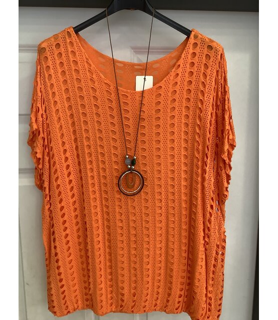 NEW COLLECTION HOLE TOP 1185