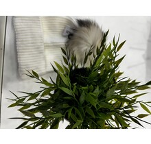 B & D DESIGN BOBBLE HAT 3003