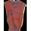 KC KC SLEEVELESS TOP 5172