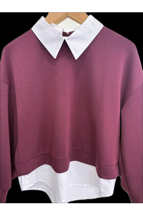 ZOLA SWEAT WITH SHIRT INSERT 1046