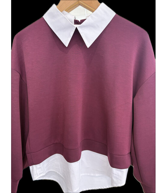 ZOLA SWEAT WITH SHIRT INSERT 1046