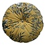 BePureHome Fluwelen Vogue Kussen Mosterd - Ø45 cm