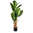 PTMD Collection Bananenboom Kunst - Ø35xH110 cm