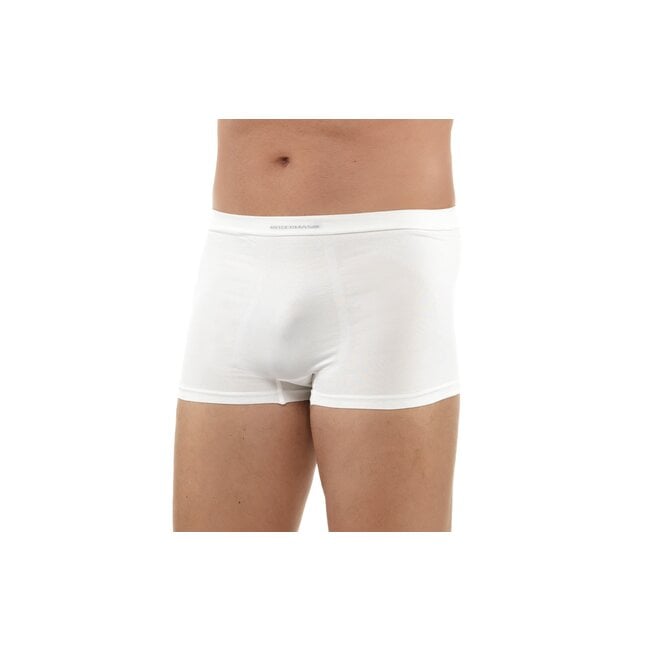 Herren Durchsichtig Netz Unterwäsche Unterhose Shorts Boxer