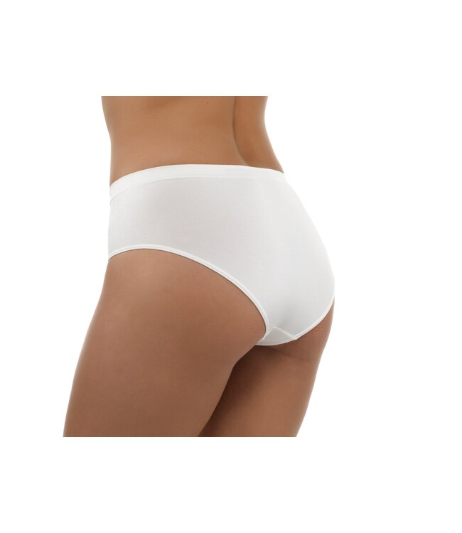DermaSilk intimate briefs