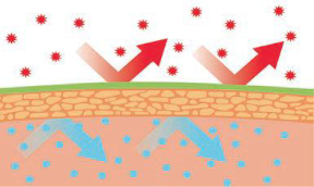 De werking van Cover