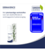 RosaMin Tagescreme mit LSF 50
