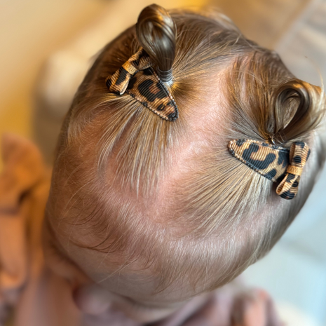 Your Little Miss Baby haarspeldjes met strik Romy - leopard Your Little Miss Baby haarspeldjes met strik Romy - leopard