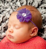 Baby haarbandje kleine chiffon bloem (donkerpaars)