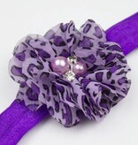 Haarbandje luipaard (paars)