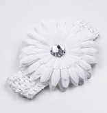 Baby haarbandje gehaakt met witte chrysant